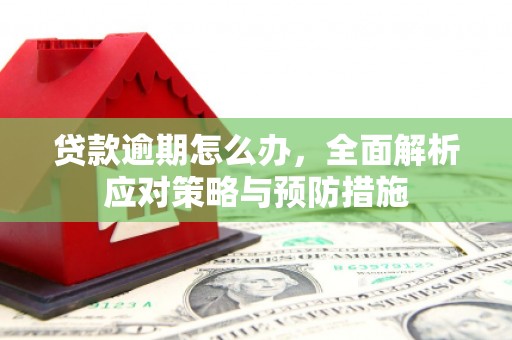邛崃贷款逾期怎么办，全面解析应对策略与预防措施