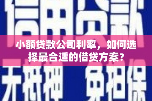 邛崃小额贷款公司利率，如何选择最合适的借贷方案？