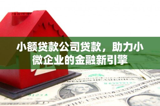 邛崃小额贷款公司贷款，助力小微企业的金融新引擎