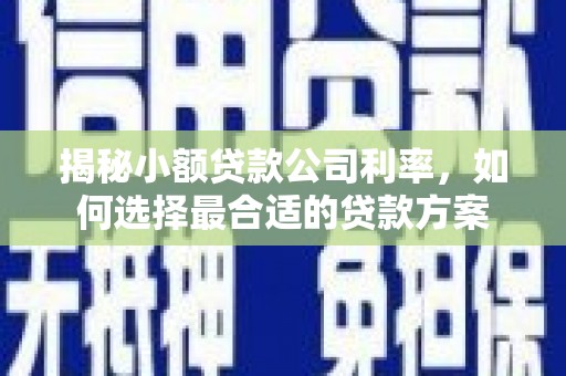 邛崃揭秘小额贷款公司利率，如何选择最合适的贷款方案