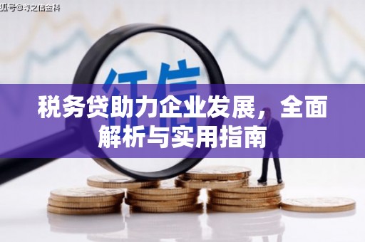 邛崃税务贷助力企业发展，全面解析与实用指南