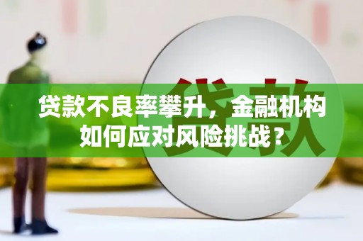 邛崃贷款不良率攀升，金融机构如何应对风险挑战？
