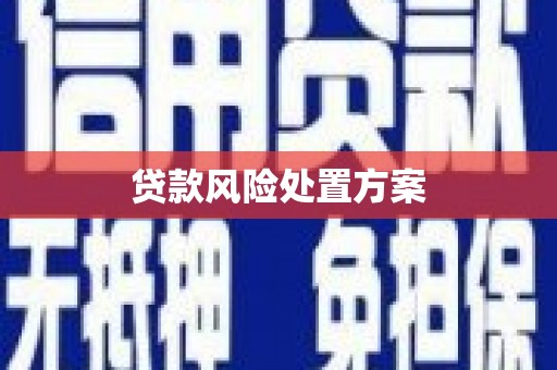 邛崃贷款风险处置方案
