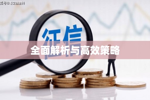 邛崃全面解析与高效策略