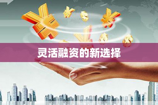 邛崃灵活融资的新选择