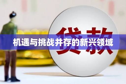 邛崃机遇与挑战并存的新兴领域