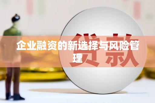 邛崃企业融资的新选择与风险管理