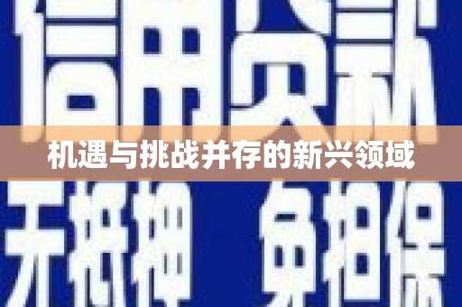 邛崃机遇与挑战并存的新兴领域