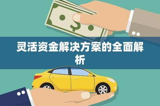 邛崃灵活资金解决方案的全面解析
