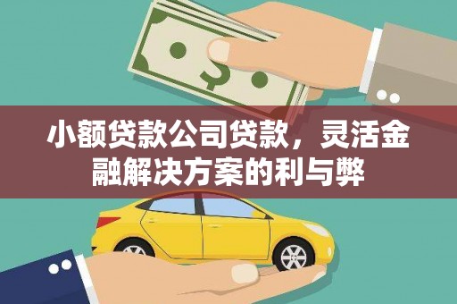 邛崃小额贷款公司贷款，灵活金融解决方案的利与弊
